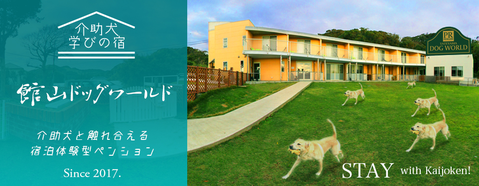 愛犬と泊まって学べる介助犬学びの宿 館山ドッグワールド